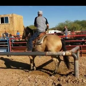 Meet your Posher, Luis